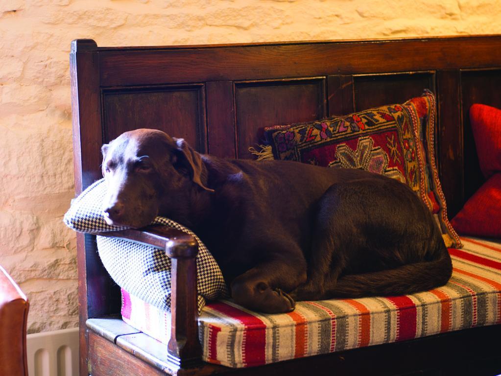 Long Compton The Red Lion Inn מראה חיצוני תמונה